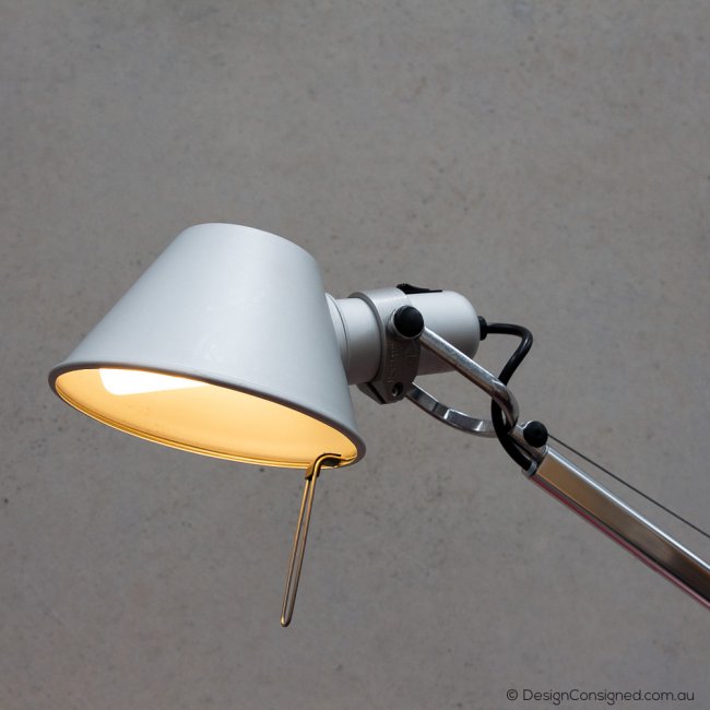 Tolomeo lamp for sale