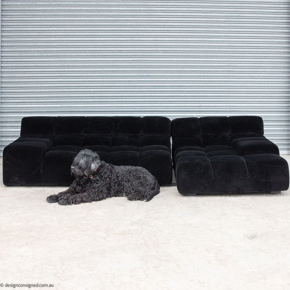 black velvet Tufty Time sofa BBItalia for sale black velvet Tufty Time sofa by Patricia Urquiola for BBItalia