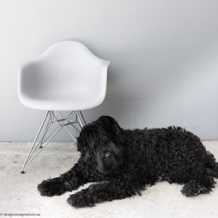 Iconic eames modern designs for sale at Design Consigned Australia